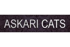 Logo for Askari Cats Logo for Askari Cats